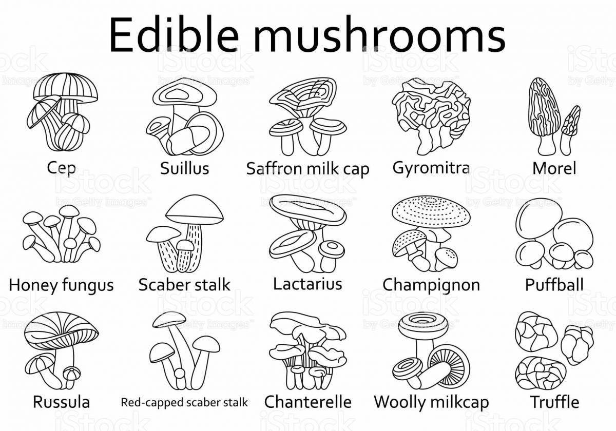 Fun coloring of edible mushrooms