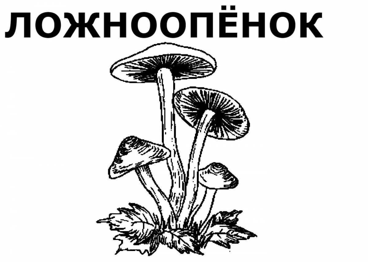 Coloring book of tempting edible mushrooms