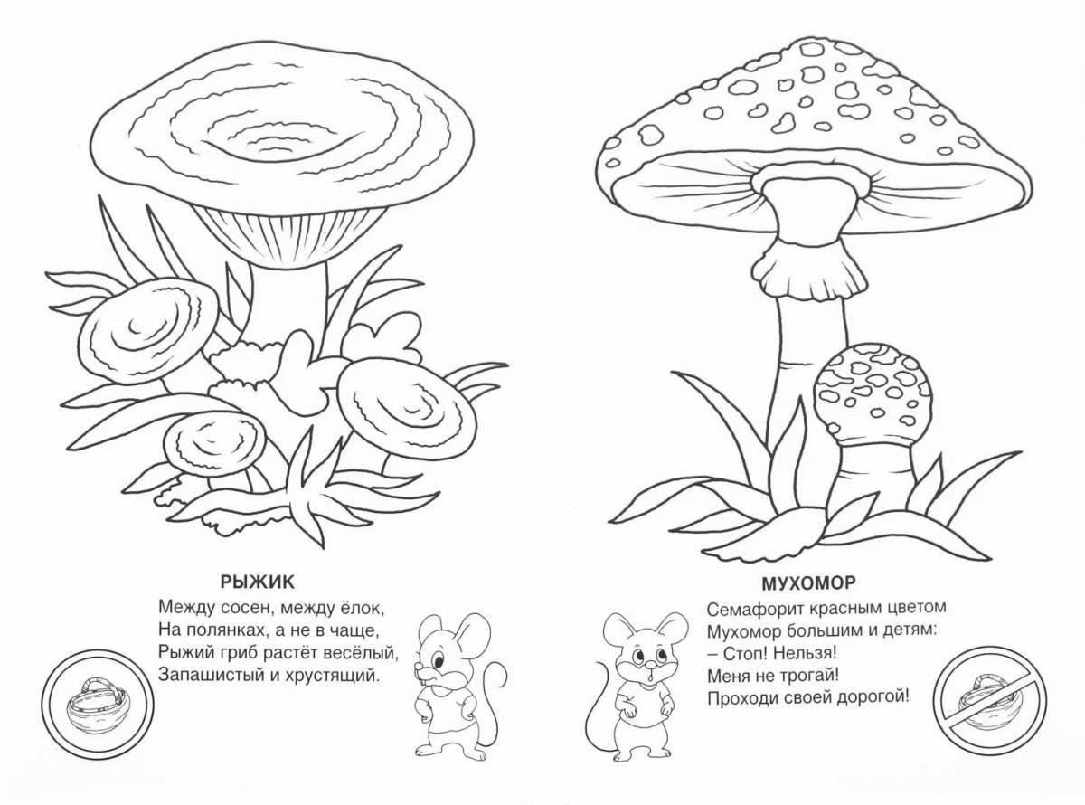 Colouring awesome inedible mushrooms