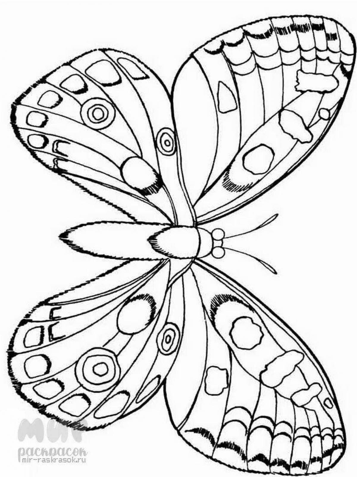 Великолепная большая бабочка-раскраска