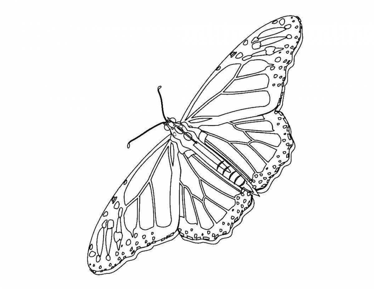 Great big butterfly coloring book