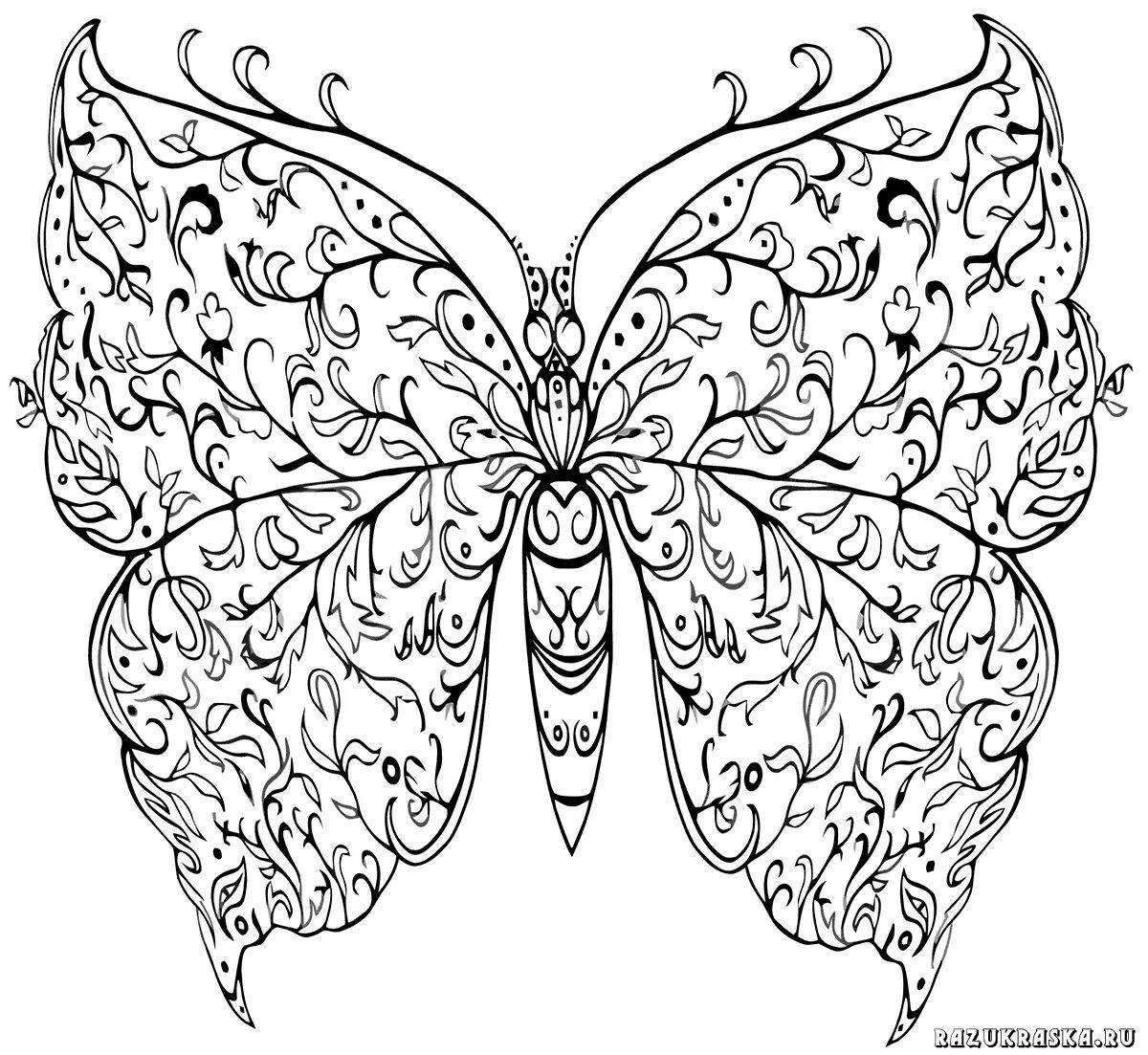 Designed large butterfly coloring page