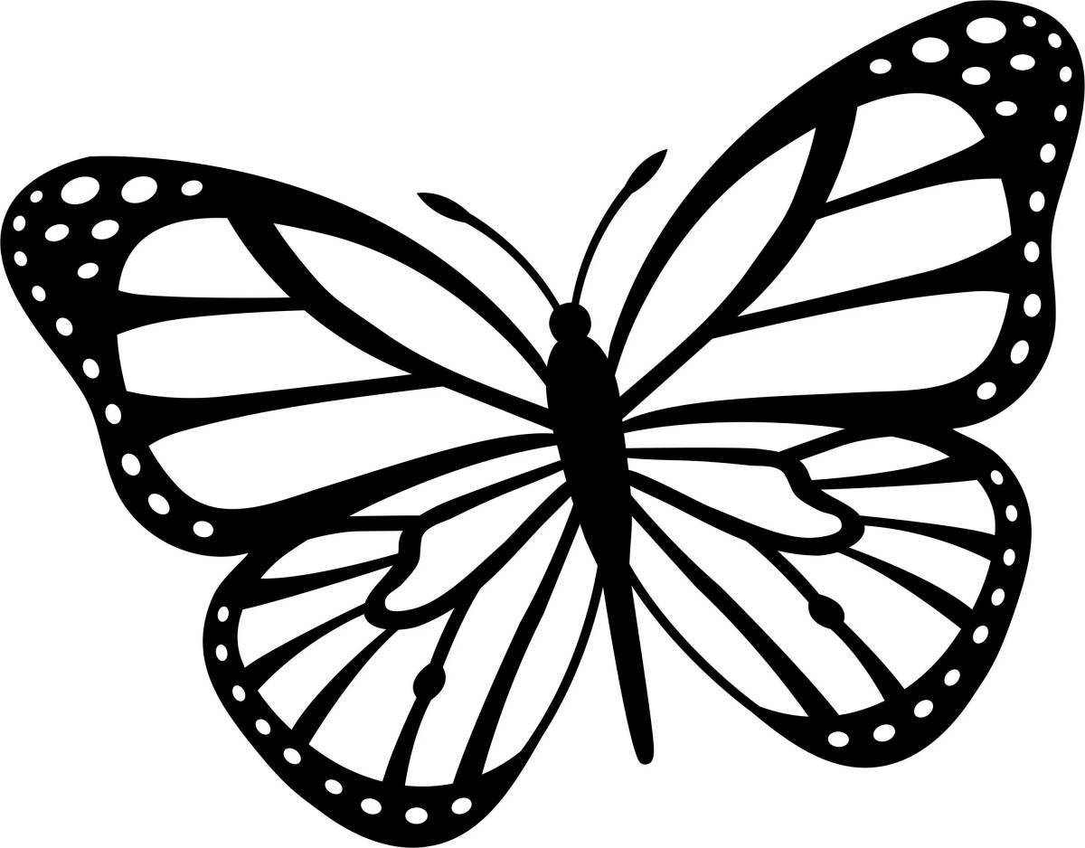 Детализированная страница раскраски большой бабочки