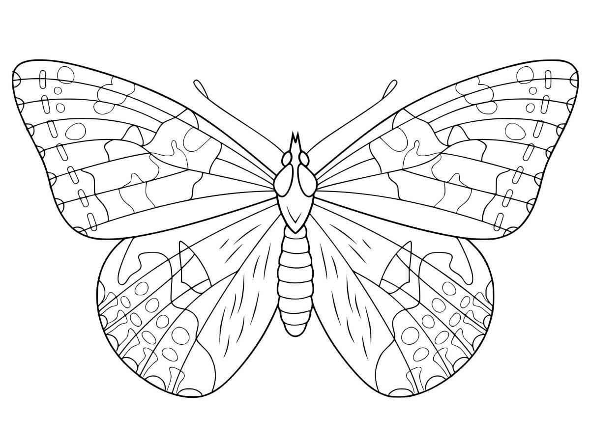 Coloring book luxury big butterfly