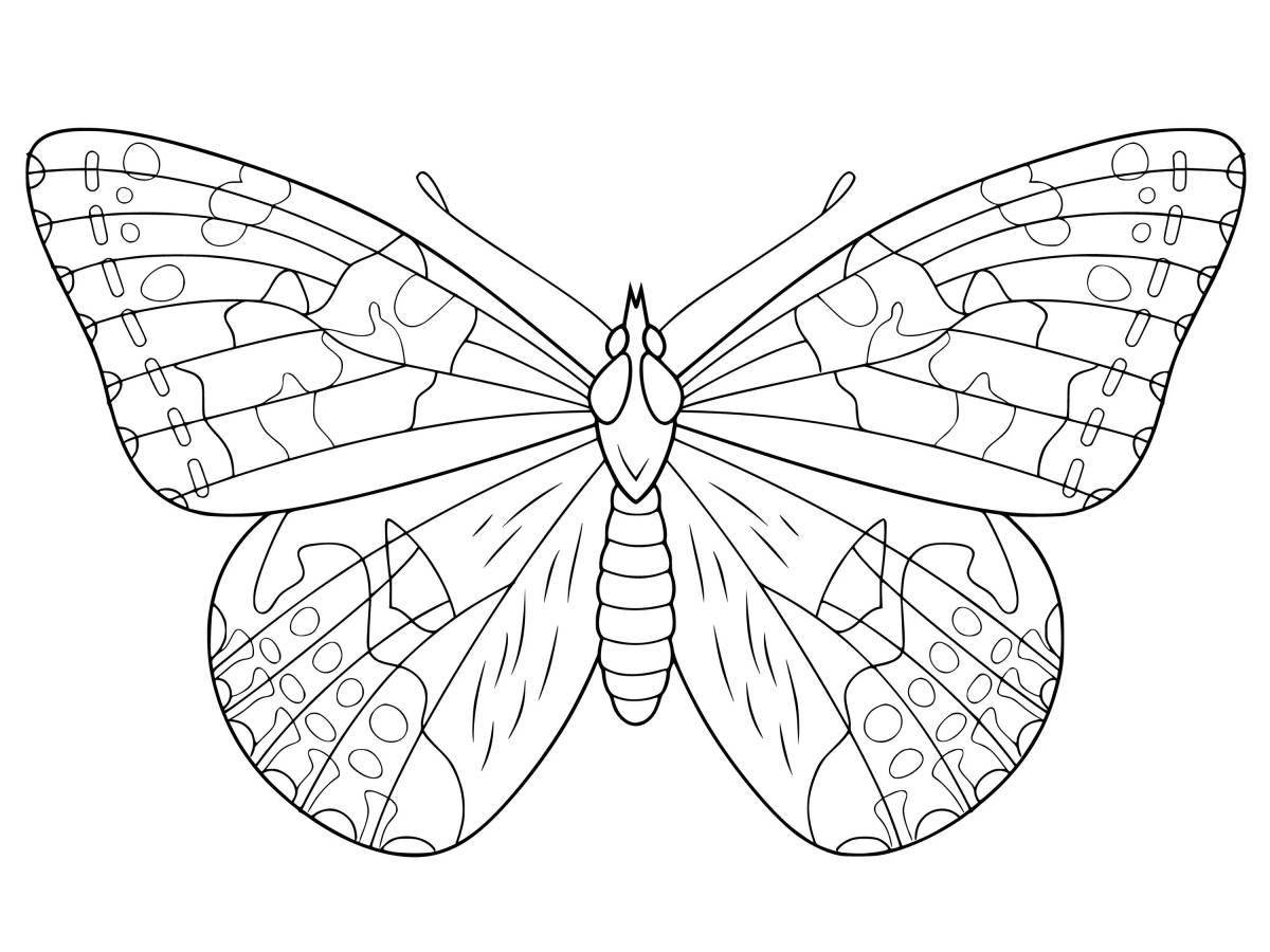 Раскраска роскошная большая бабочка