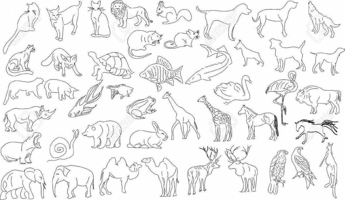 Чудесная раскраска многих животных