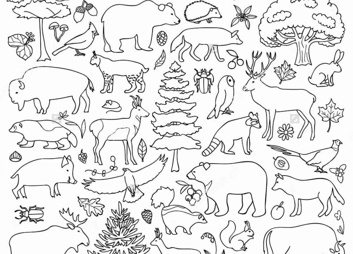 Great coloring of many animals