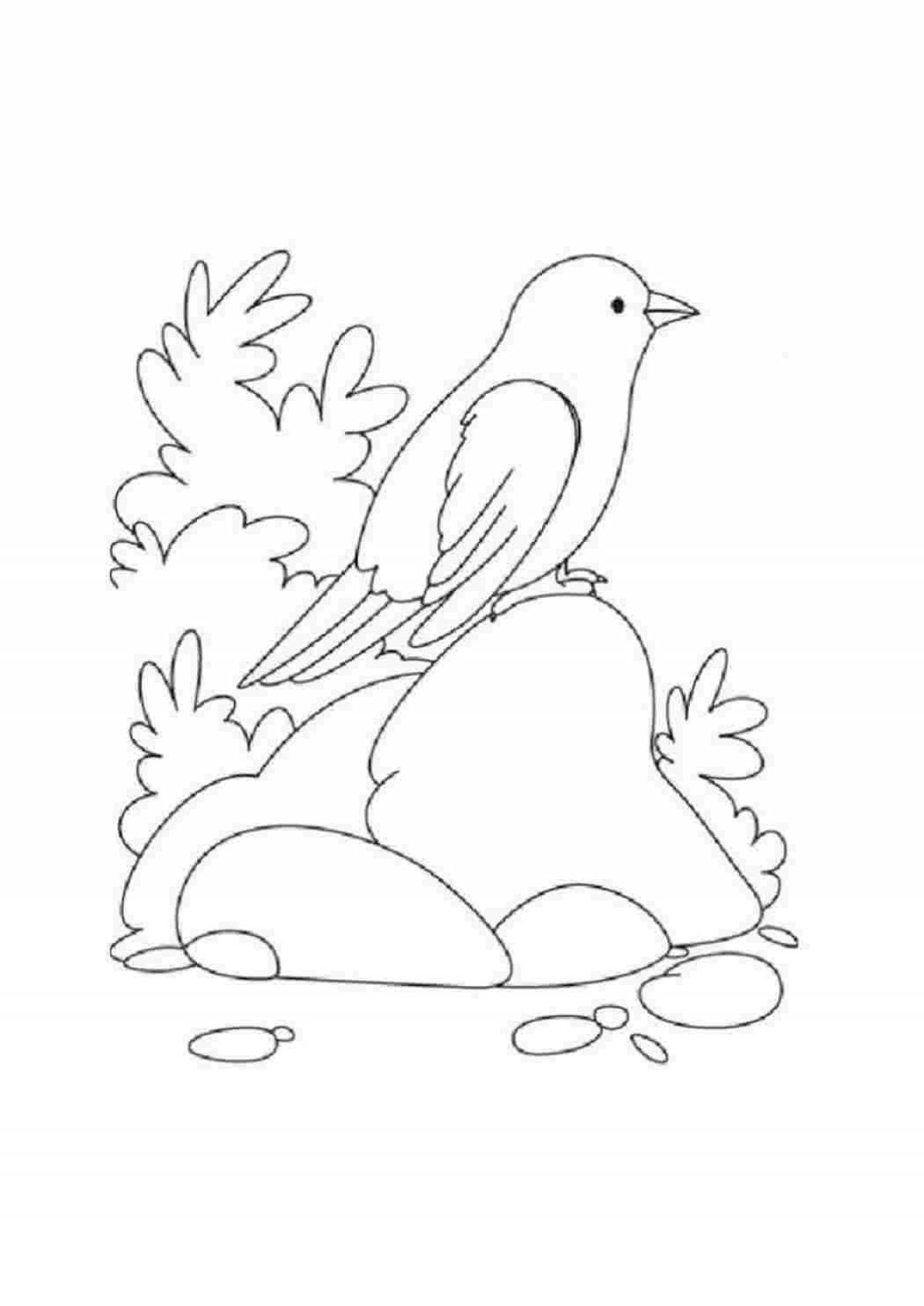 Colourful disheveled sparrow coloring page
