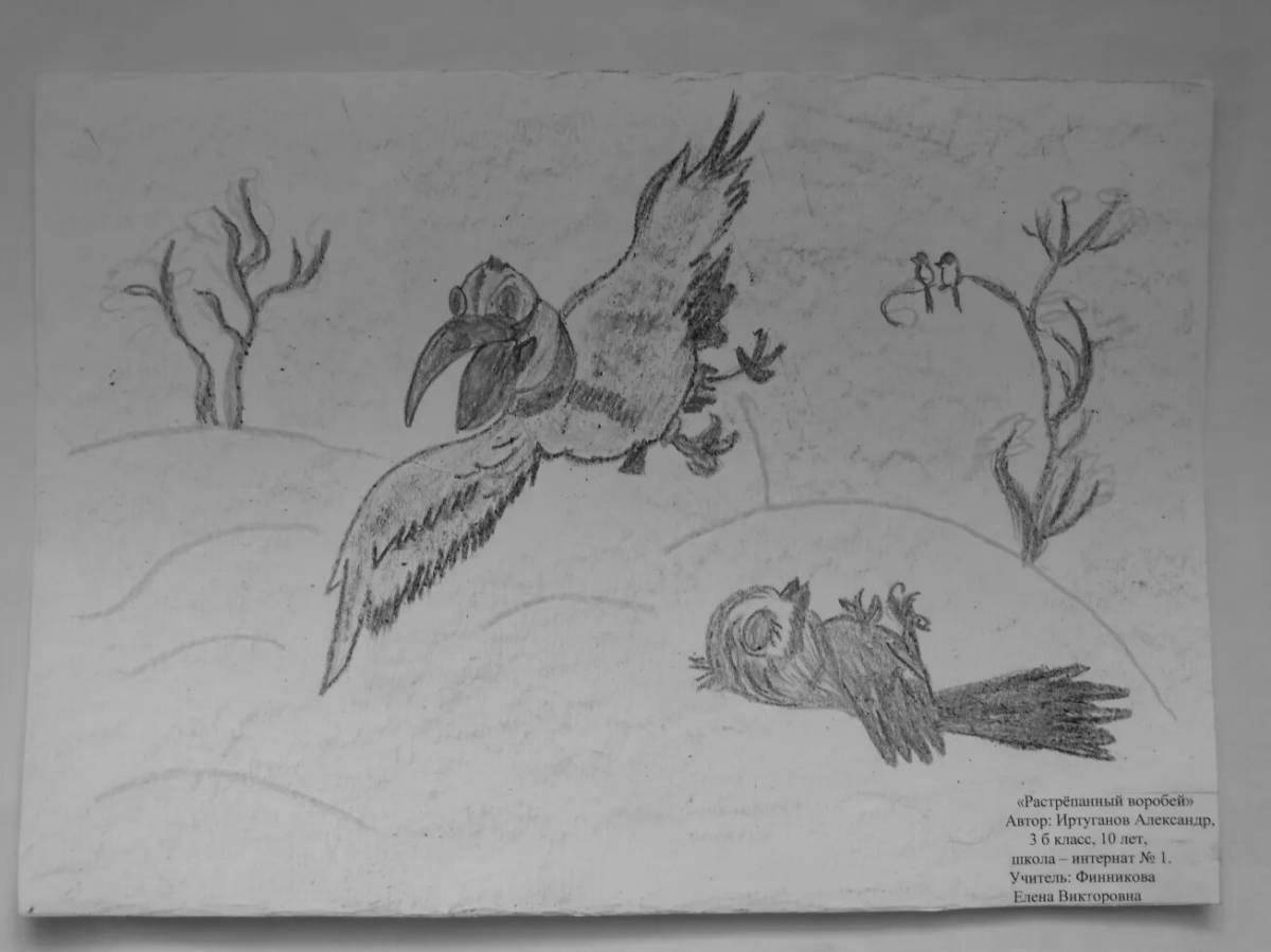 Adorable ruffled sparrow coloring page