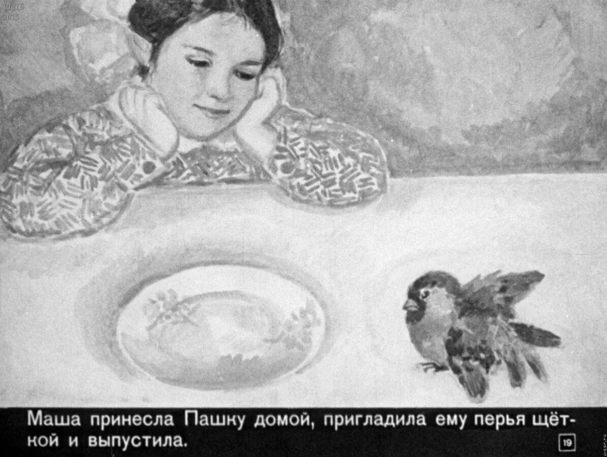 Adorable sparrow coloring book