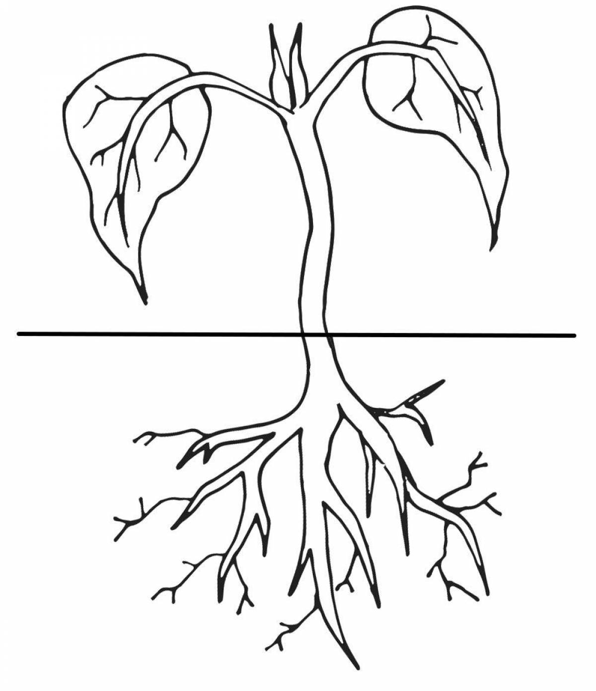 Fascinating coloring parts of plants grade 1 school of russia