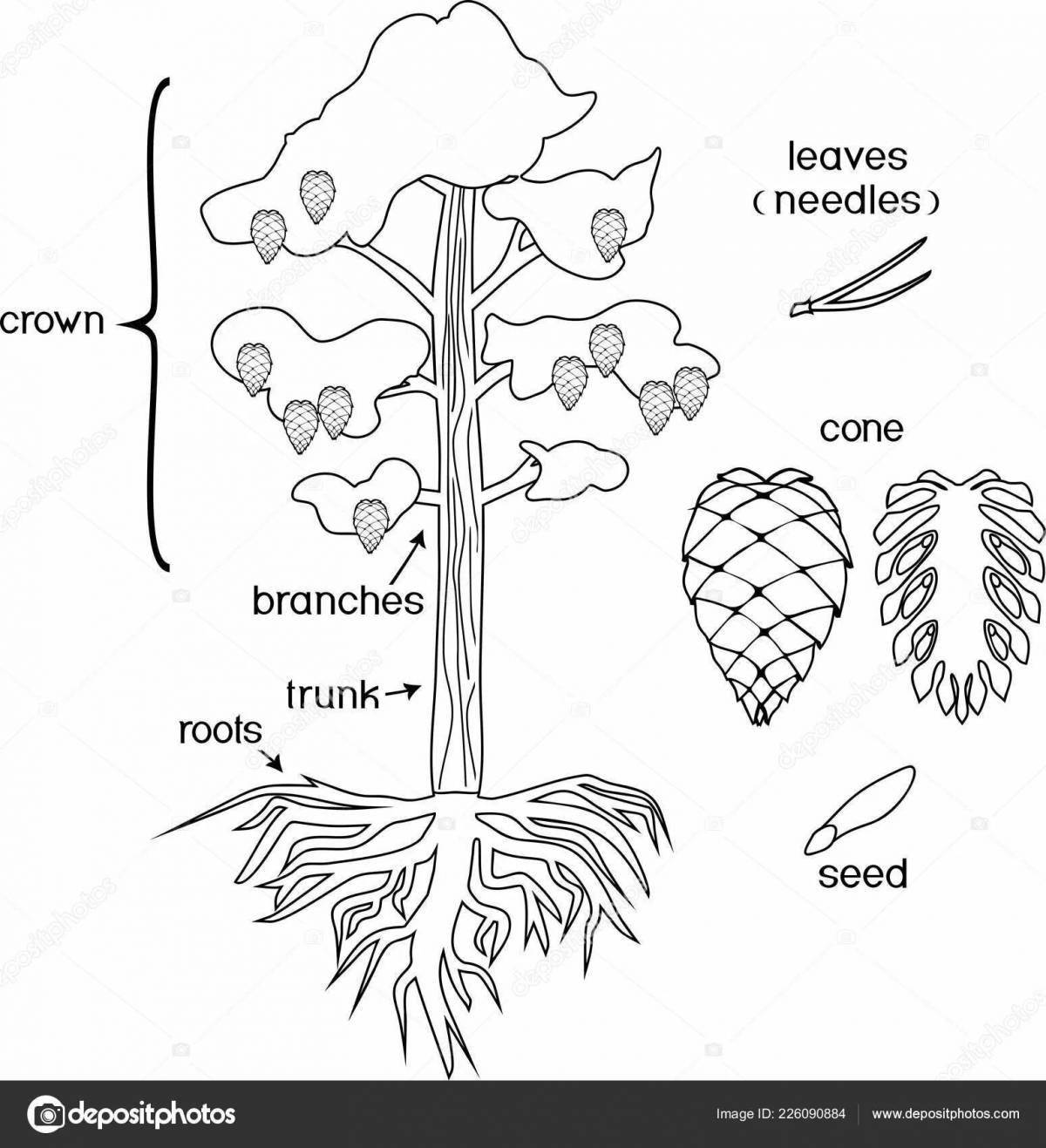 Cute coloring parts of plants grade 1 school of russia