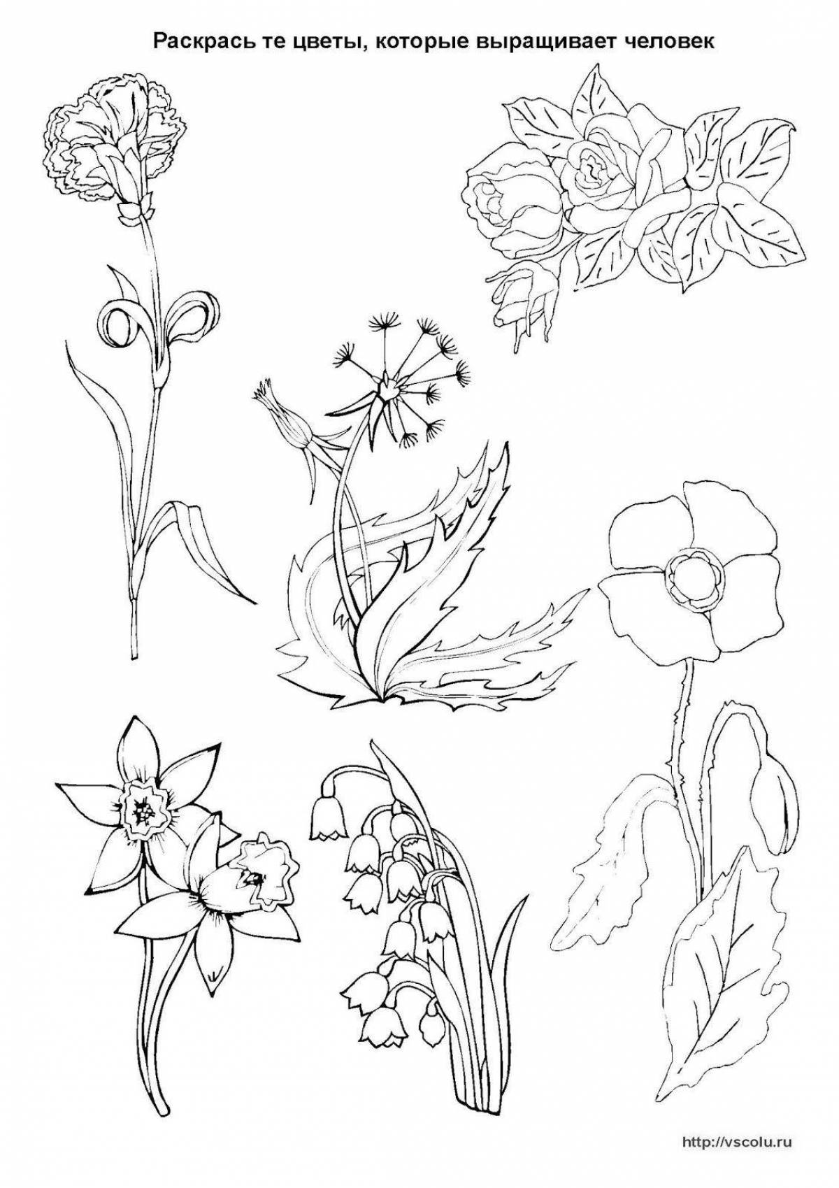 Fun coloring parts of plants Grade 1 Russian school