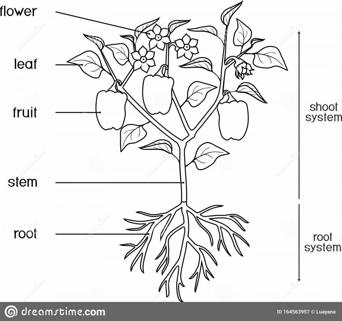 Fantastic coloring parts of plants Grade 1 Russian school