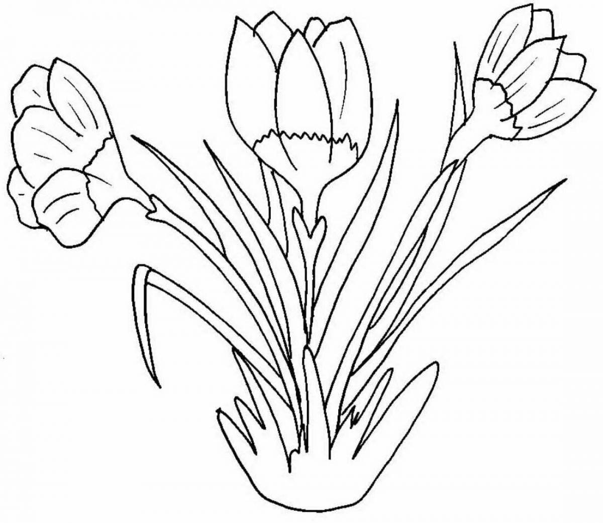 Подснежник раскраска для детей 3 4. Первоцвет Крокус белый. Первоцветы крокусы. Первоцветы Крыма тюльпаны. Крокусы первоцветы для детей.