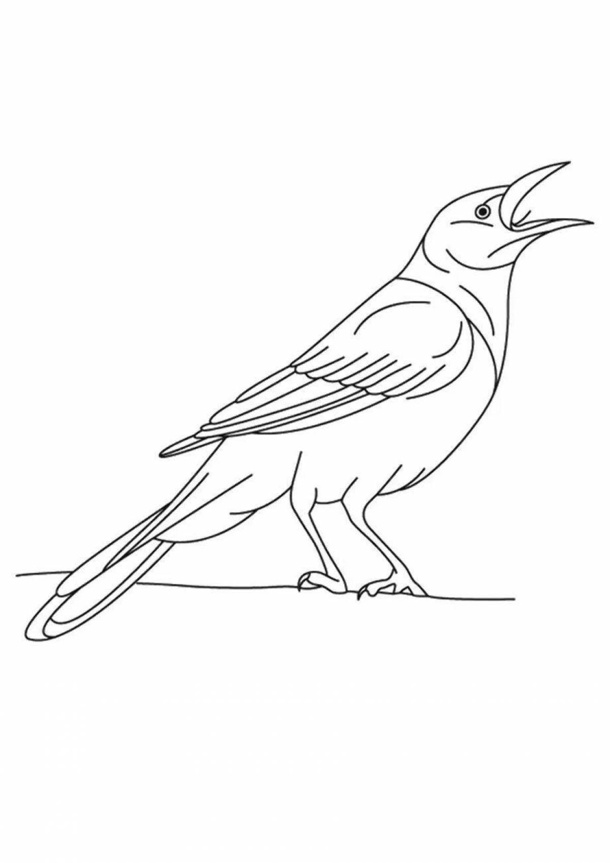 Раскраска птицы ворона