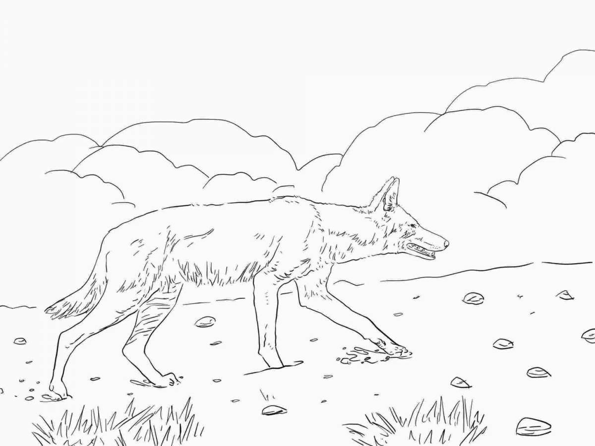Animated jackal coloring page