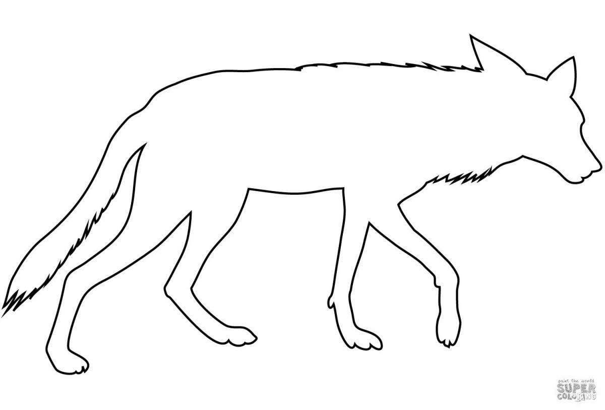 Charming jackal coloring book