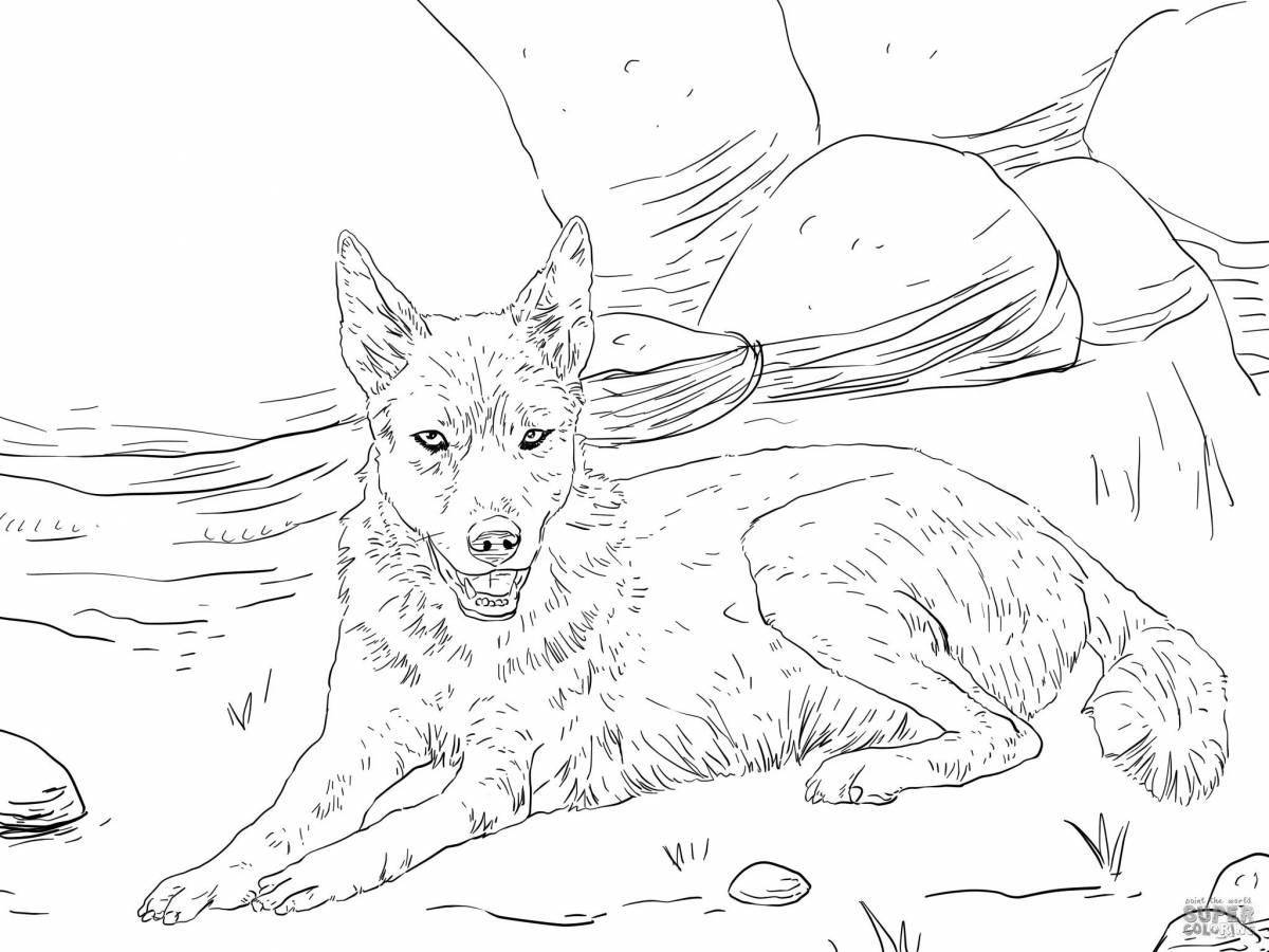 Fairy jackal coloring page