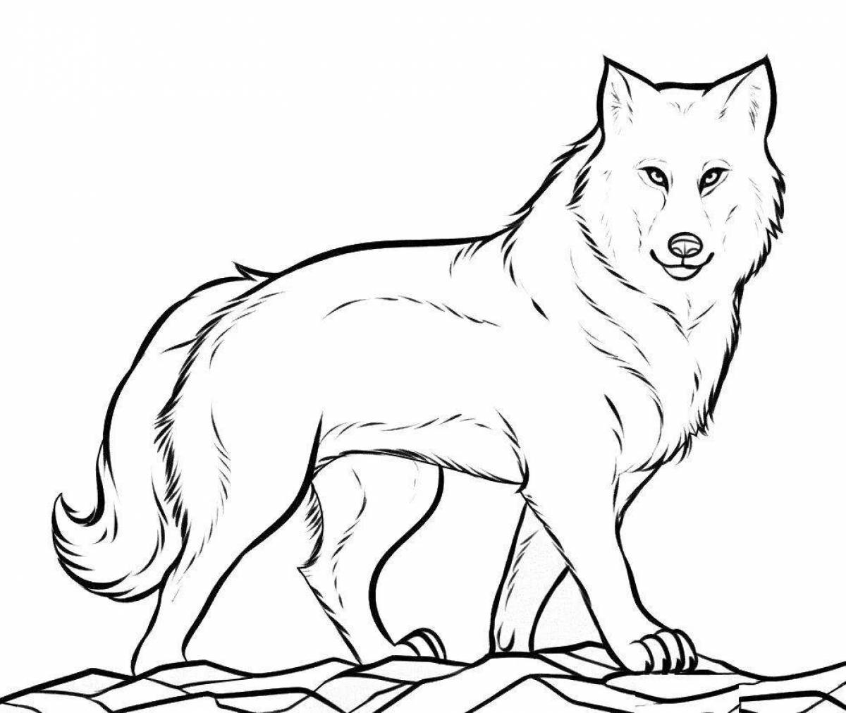 Fearless wolfoo coloring book