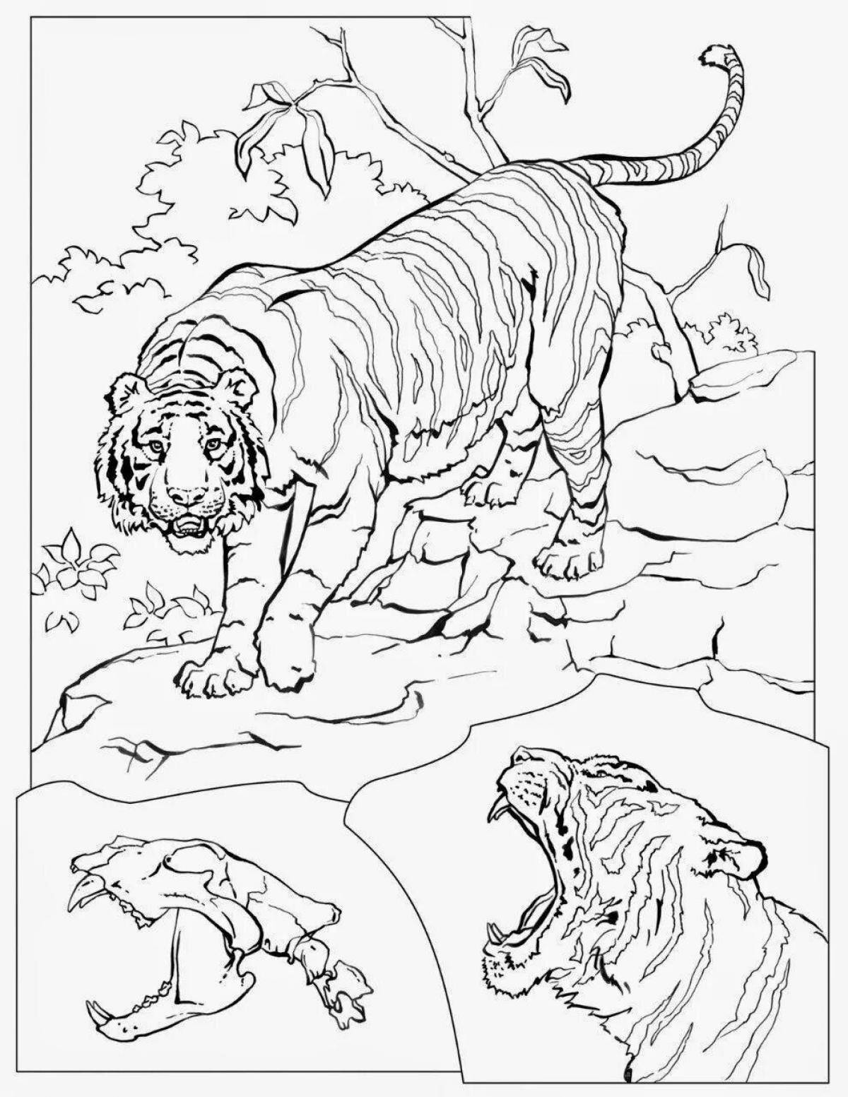Потрясающая страница раскраски тигрицы