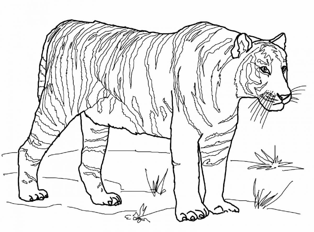 Изысканная раскраска тигрица