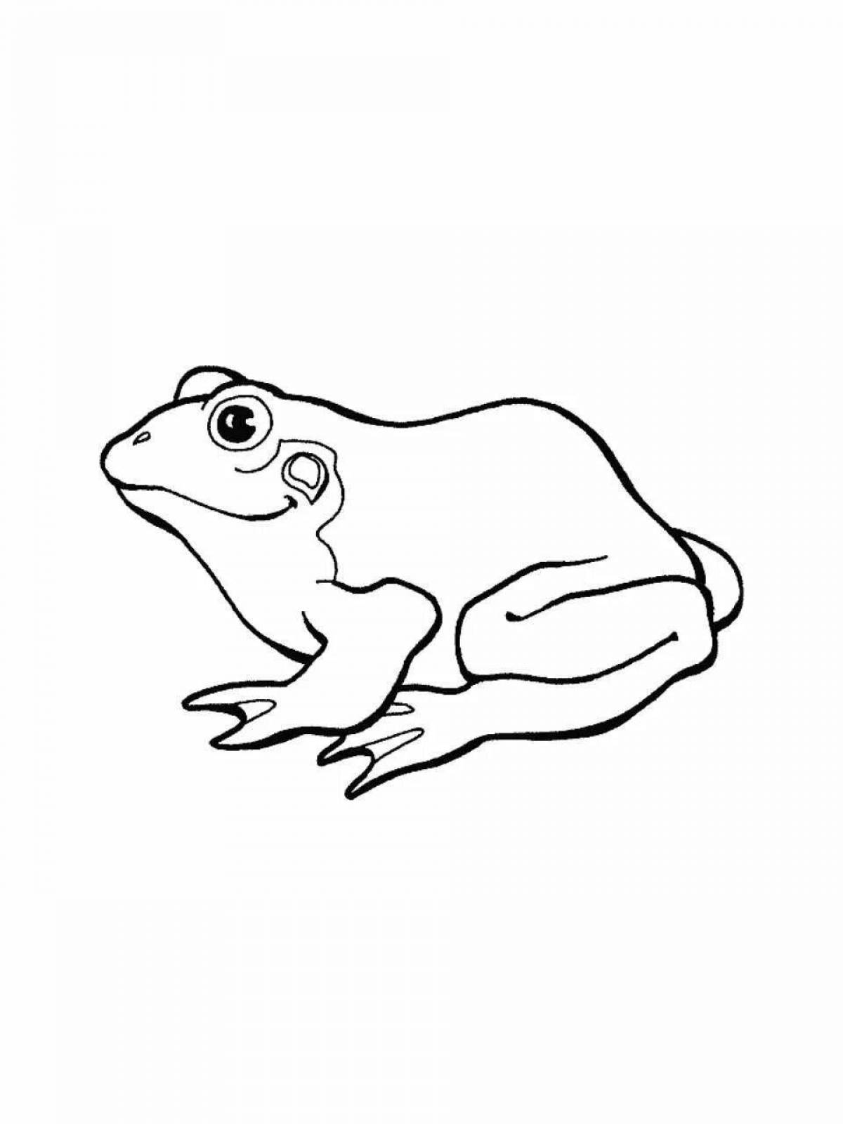 Vibrant frog coloring pages