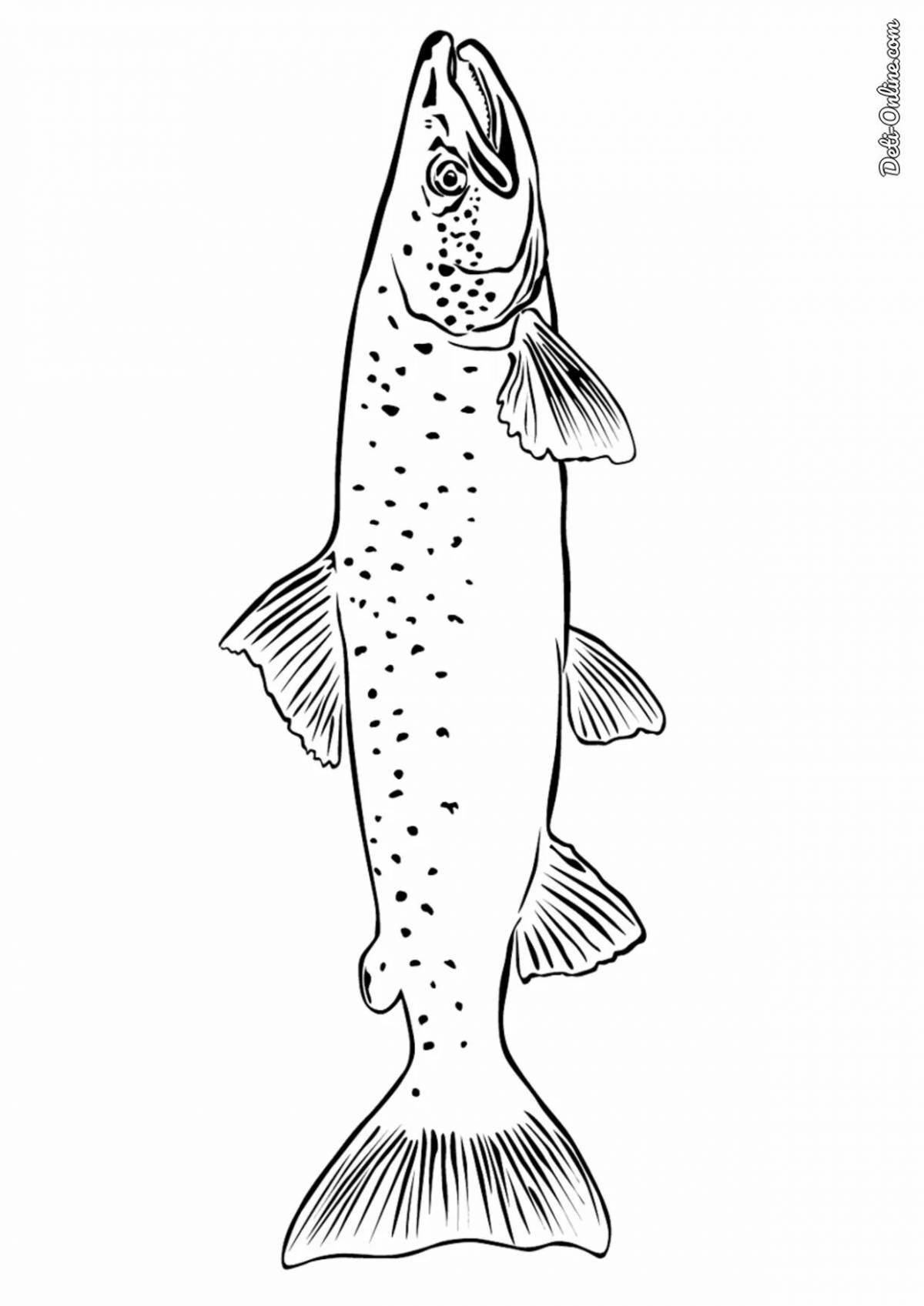 Great salmon coloring book