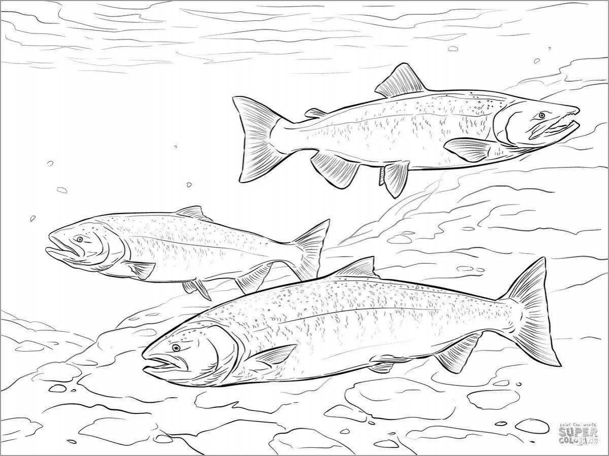 Animated salmon coloring book