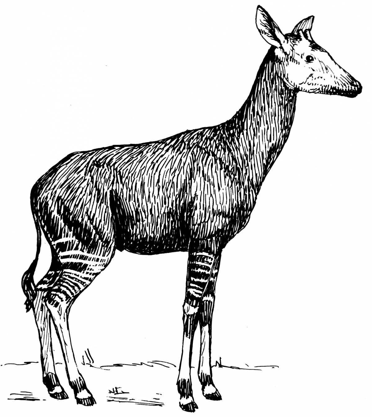 Joyful okapi coloring book