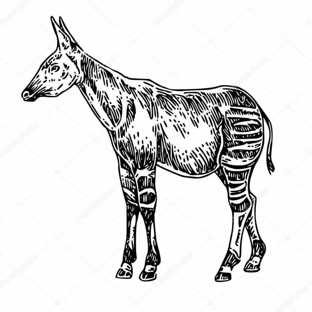 Awesome okapi coloring page