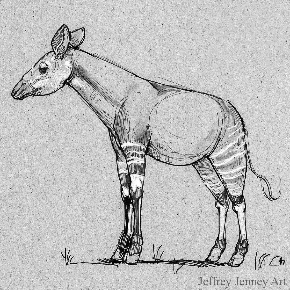Coloring book shining okapi