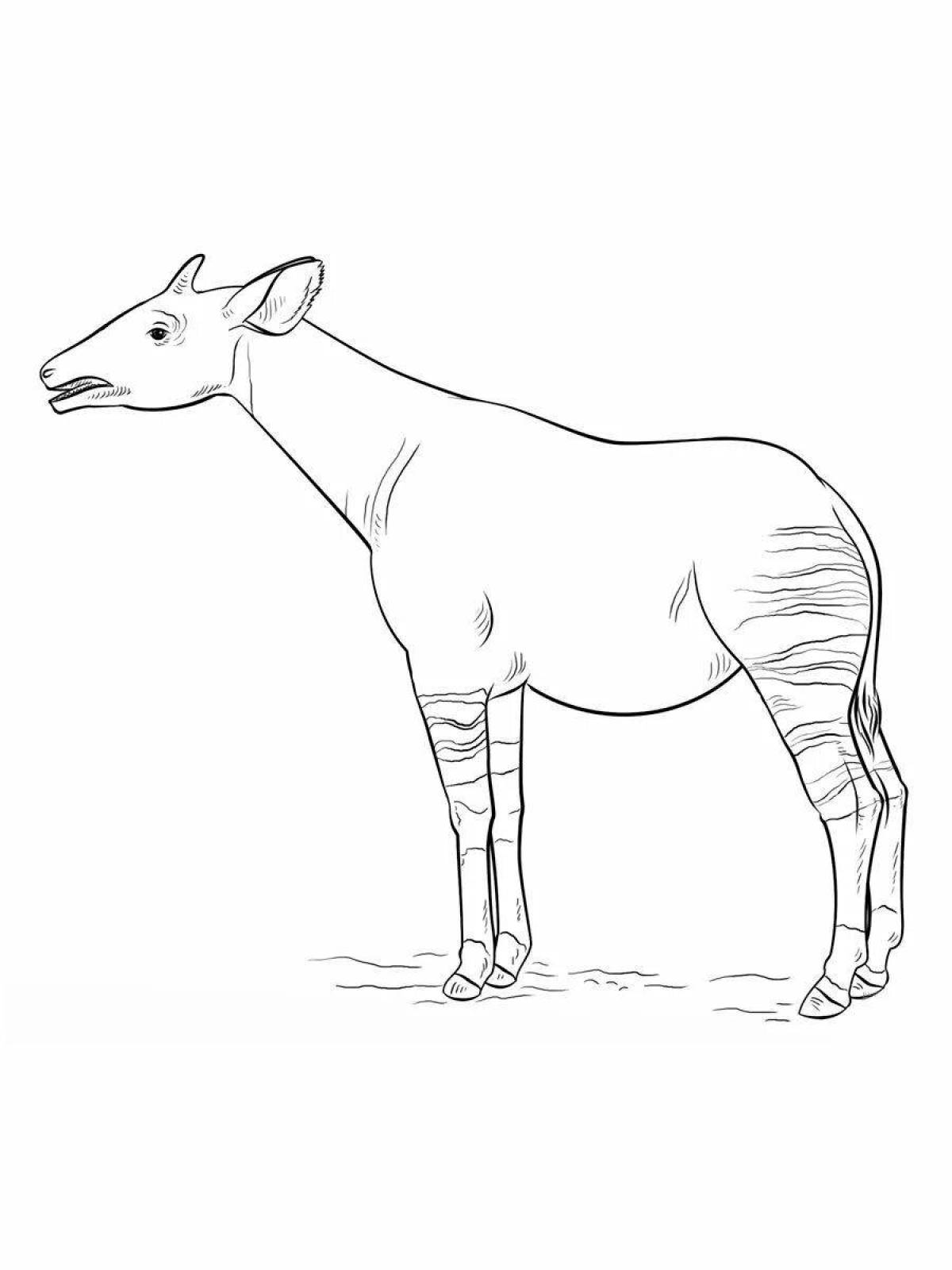 Fancy okapi coloring