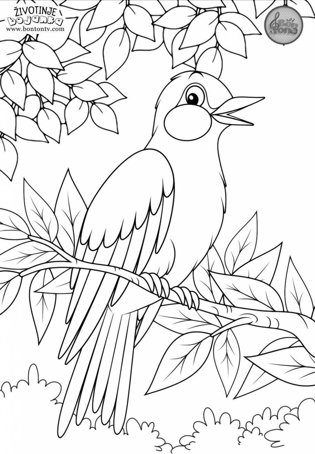 Coloring book magnificent nightingale