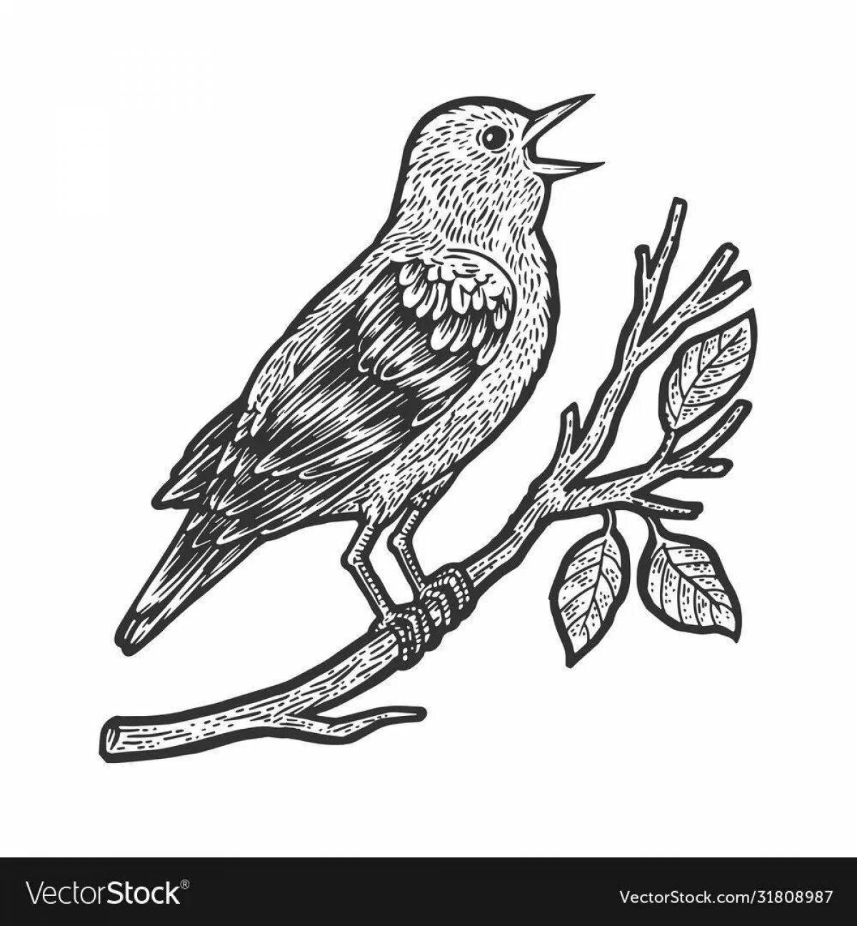 Awesome nightingale coloring page