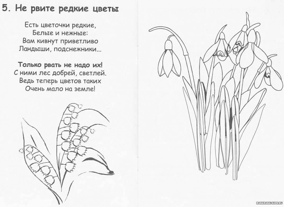 Coloring book charming Crimean primroses