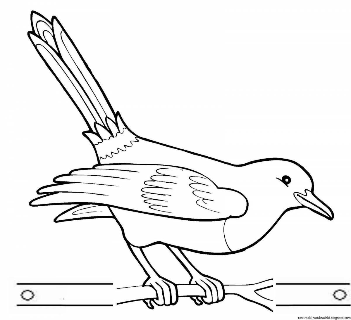 Exquisite magpie coloring page