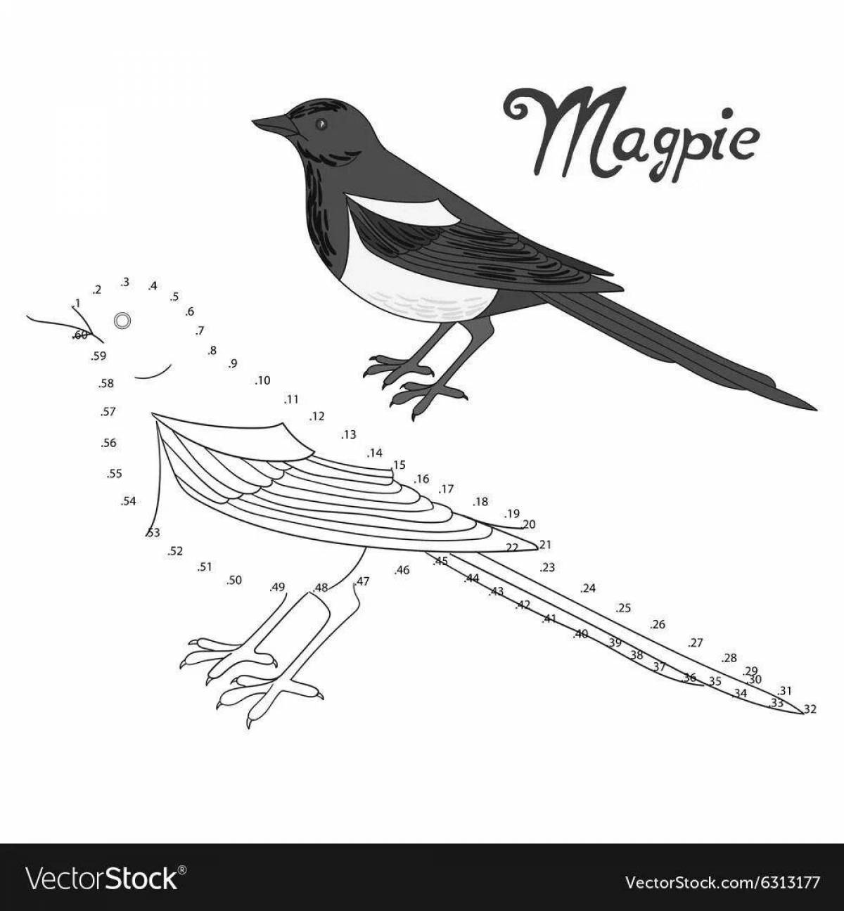 Coloring book charming magpie