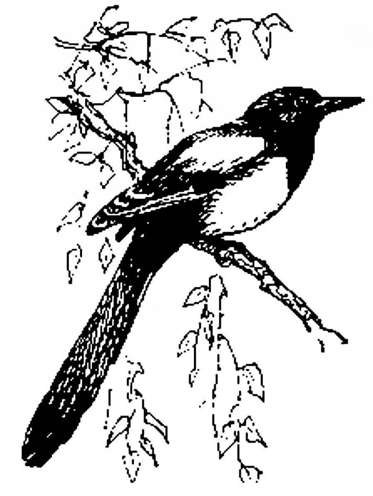A striking magpie coloring page