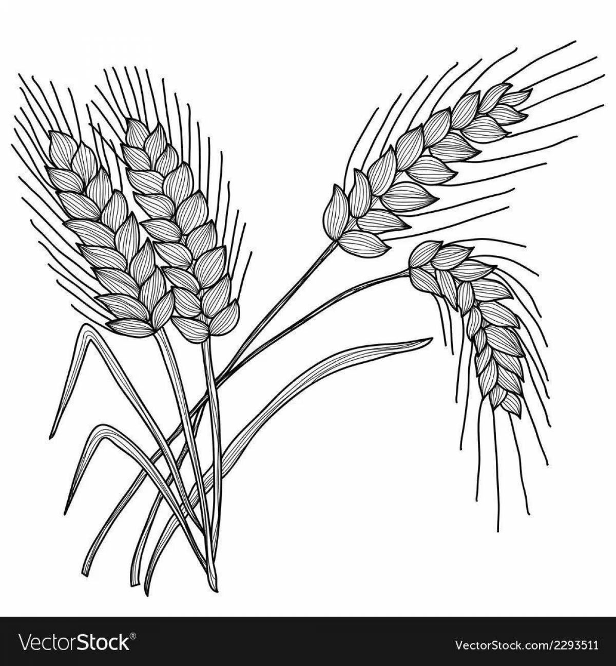 Как быстро нарисовать пшеницу