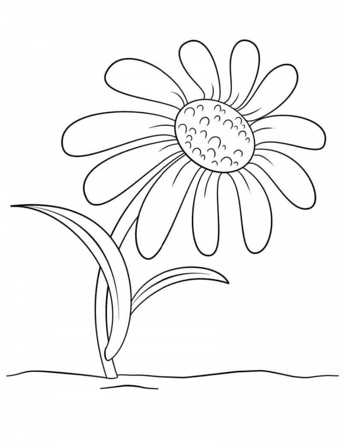 Coloring book cheerful drawing of chamomile