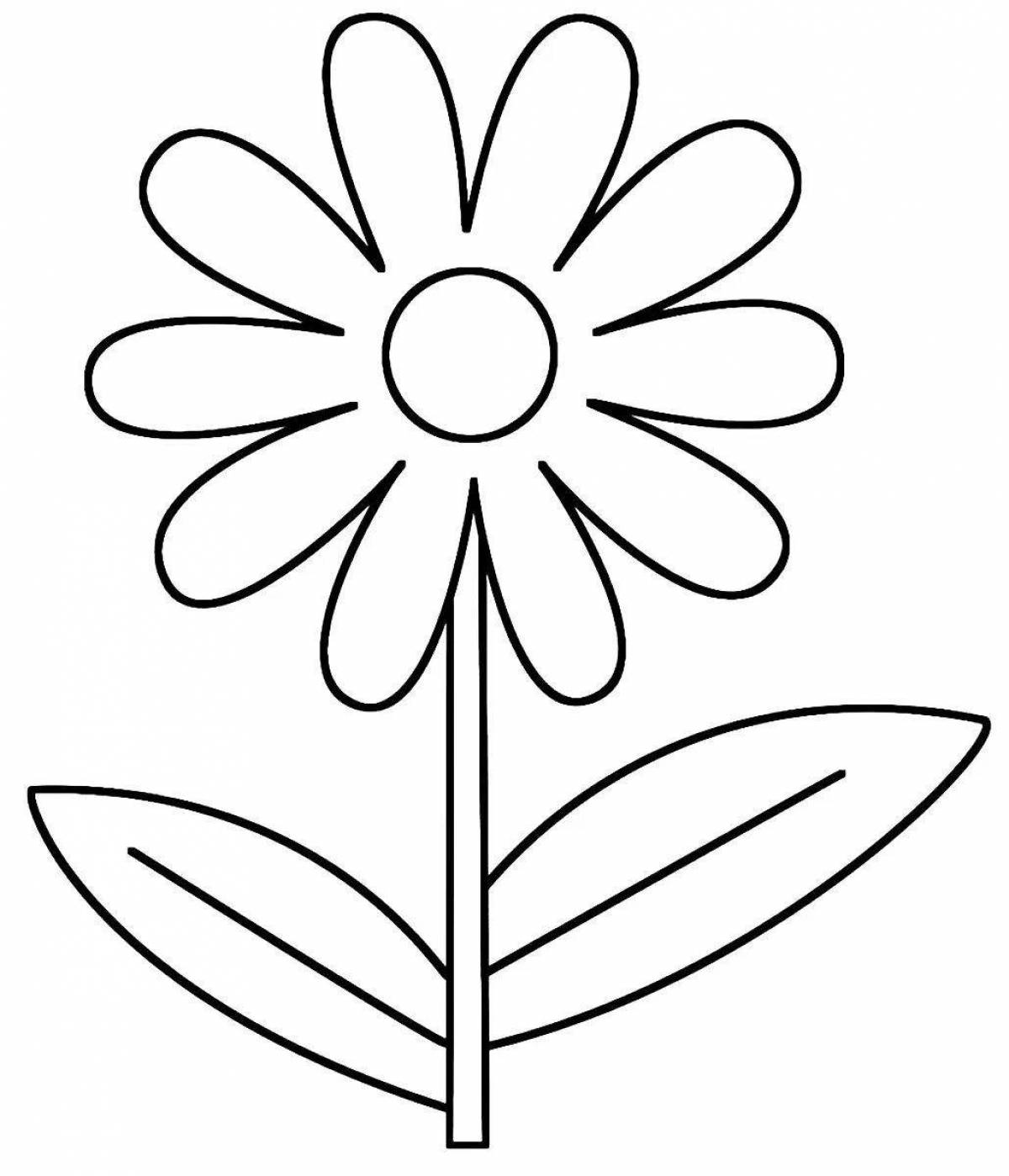 Colorful drawing of chamomile coloring book