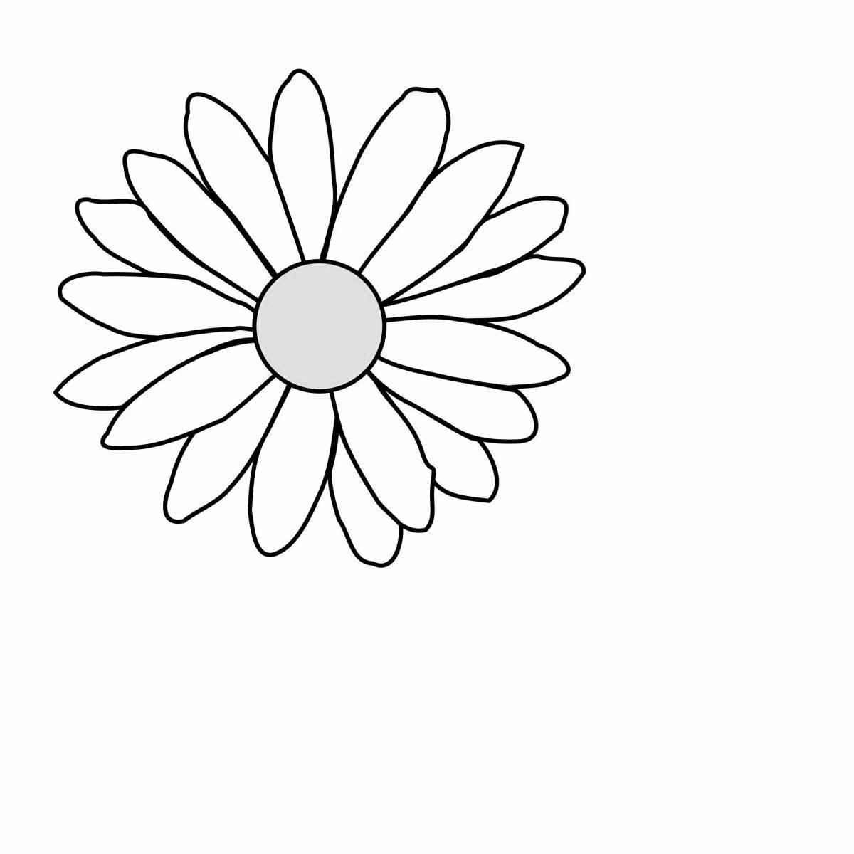 Coloring page wonderful drawing of chamomile
