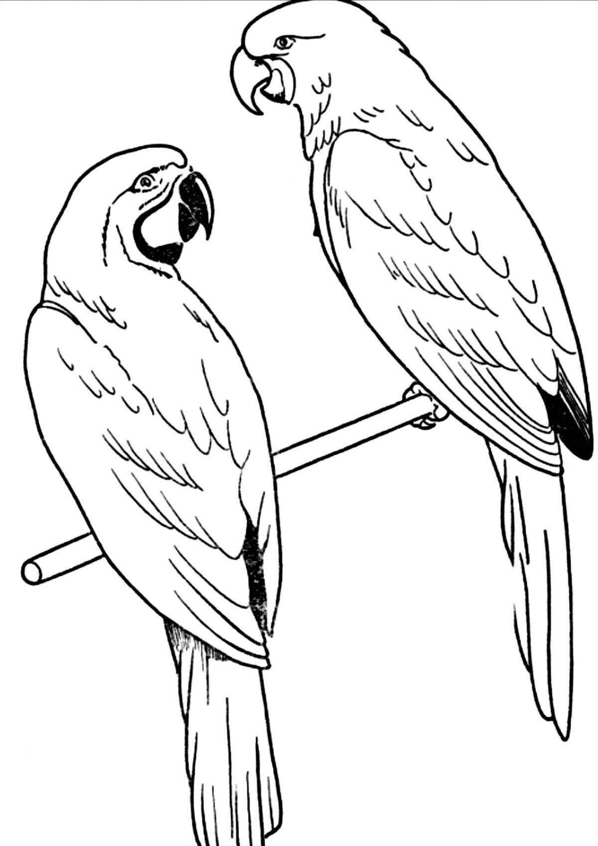Фото Анимированная страница раскраски волнистого попугайчика