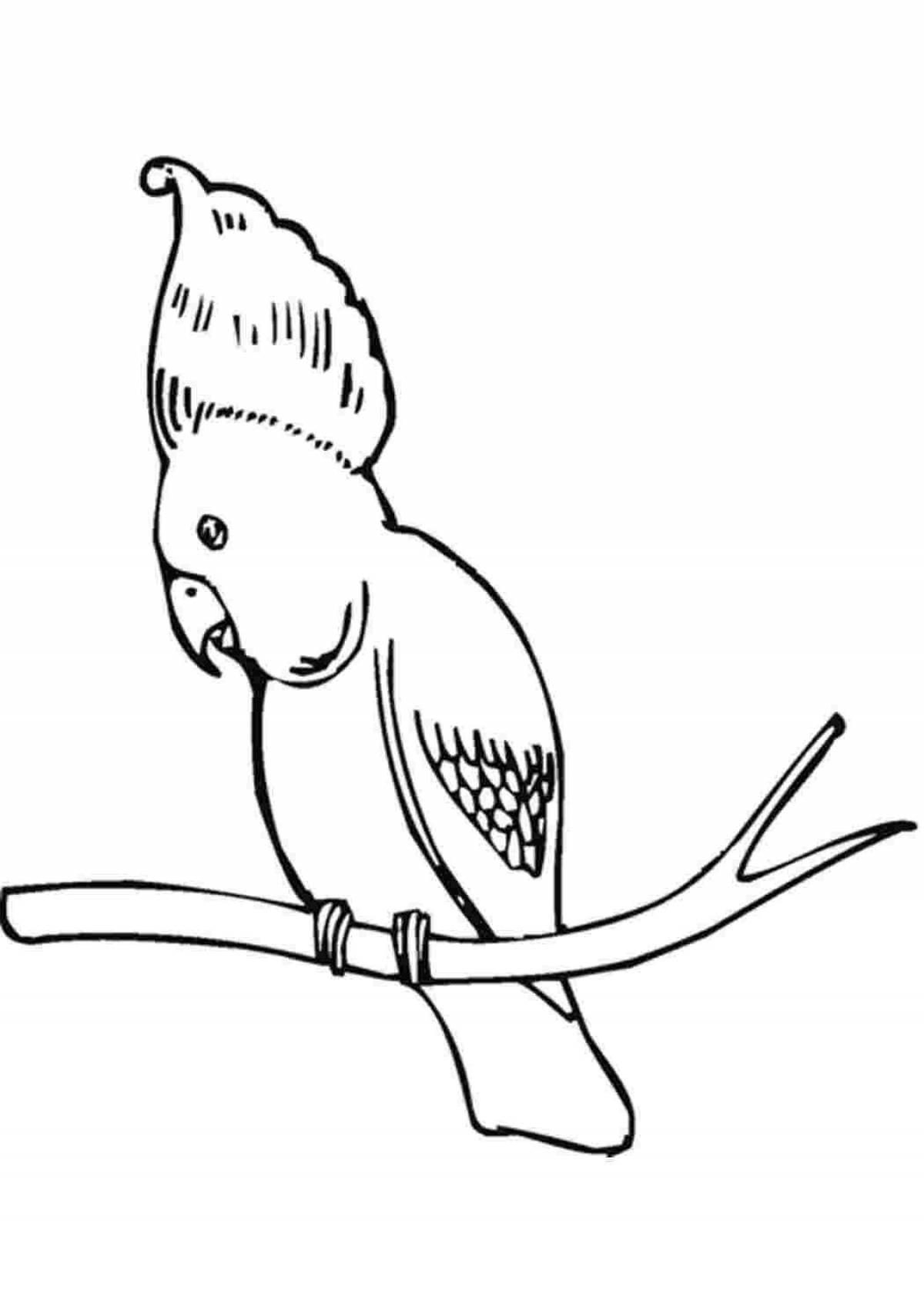 Фото Страница раскраски с волнистым попугайчиком
