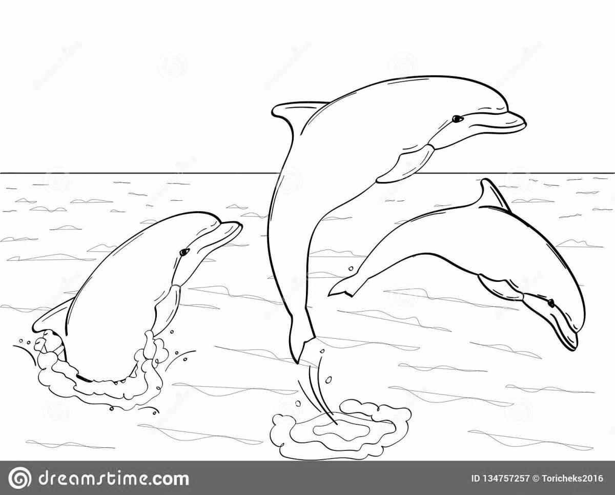 Coloring book playful black sea bottlenose dolphin