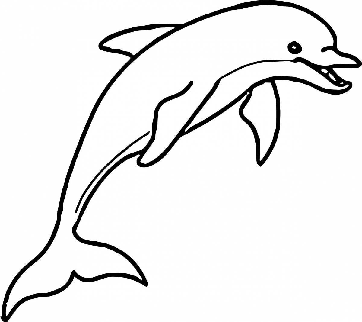 Coloring book shiny black sea bottlenose dolphin