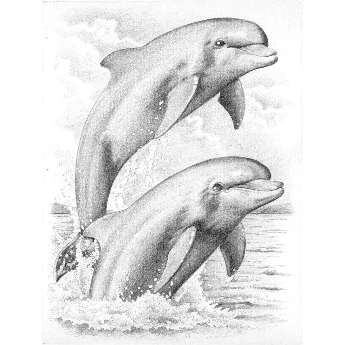Coloring book colorful Black Sea bottlenose dolphin