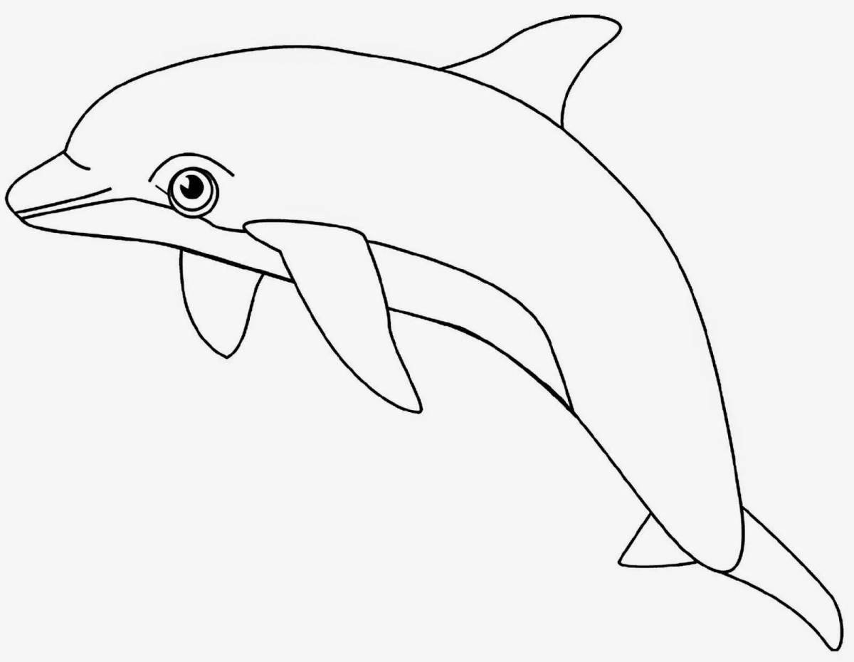Coloring book graceful Black Sea bottlenose dolphin
