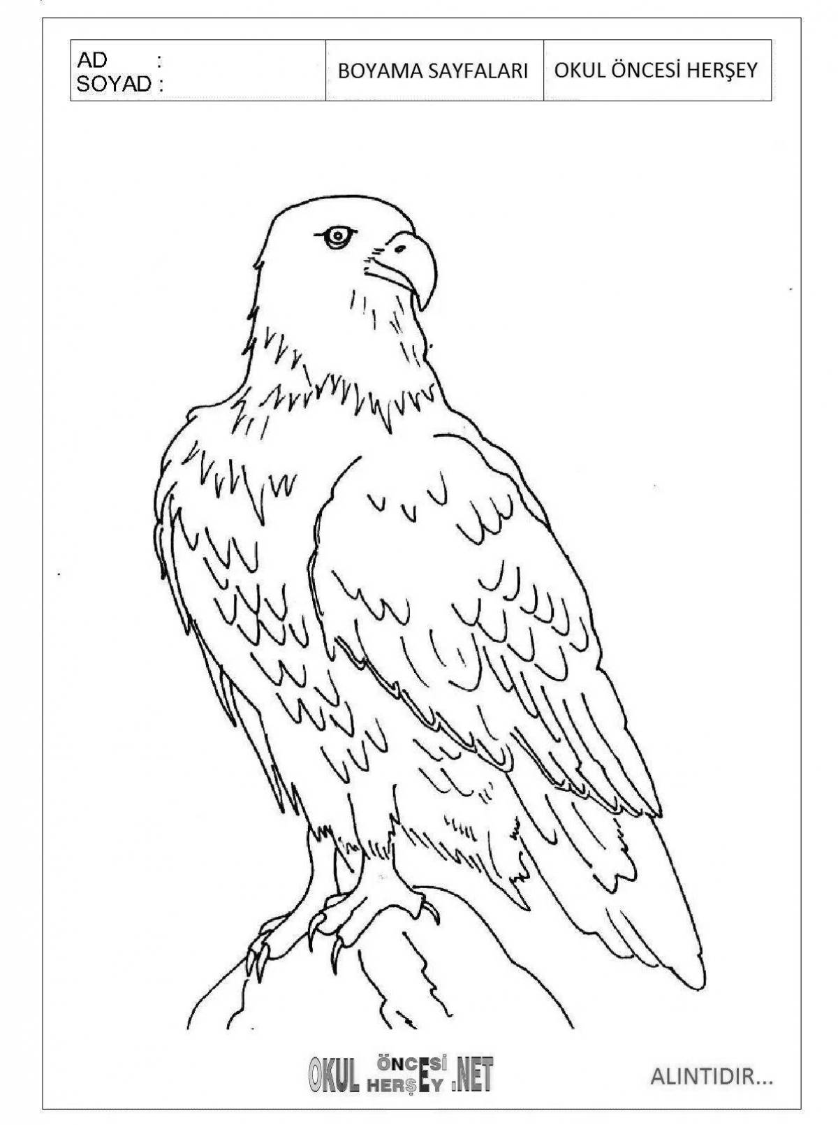 Radiant steppe eagle coloring page